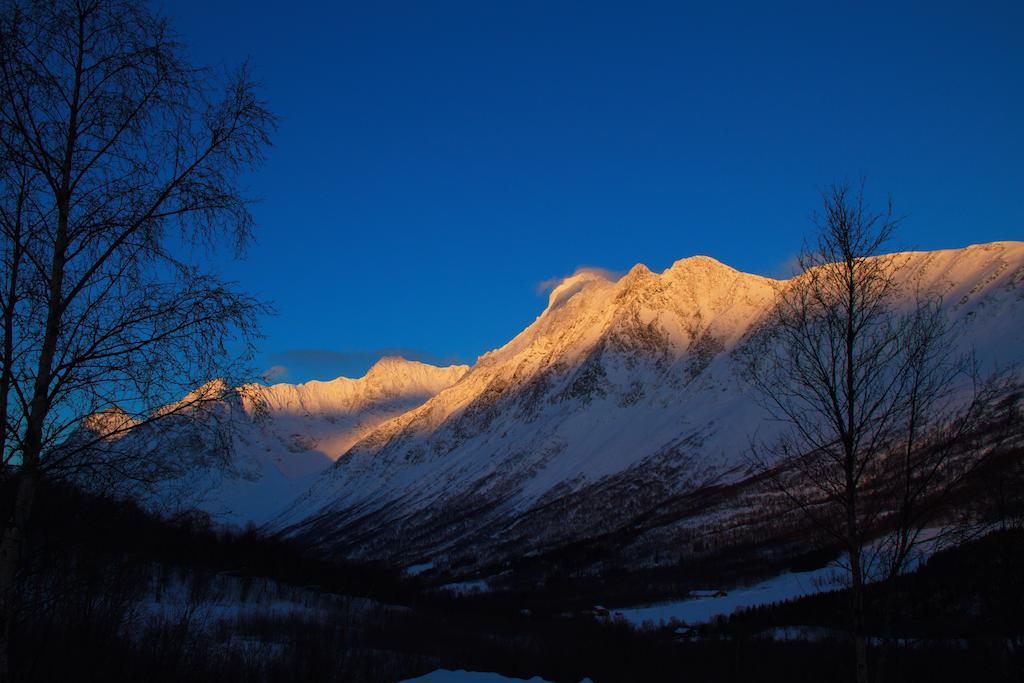 Lyngseidet Gjestegard As Exteriér fotografie